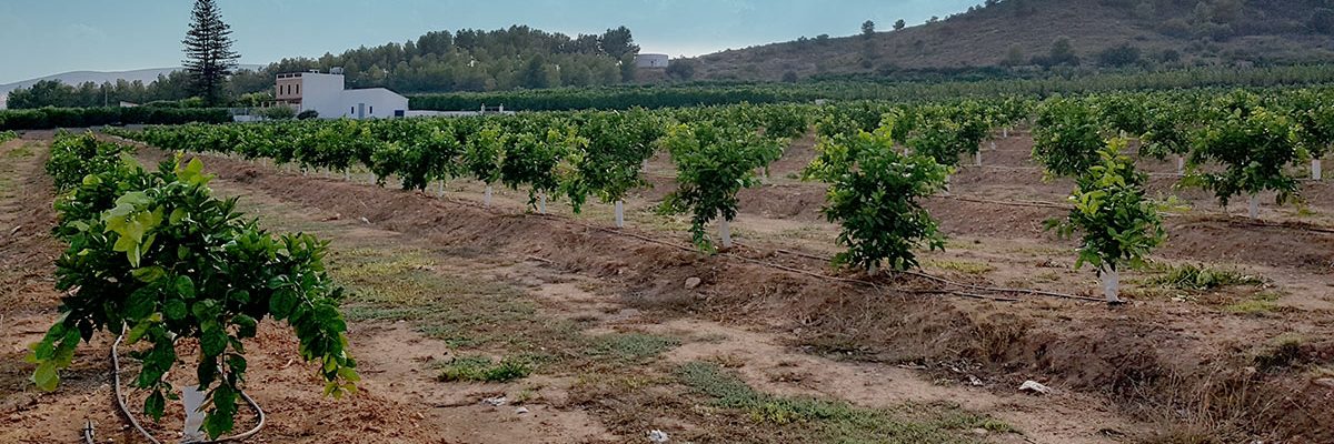 satversol_comunicado6po